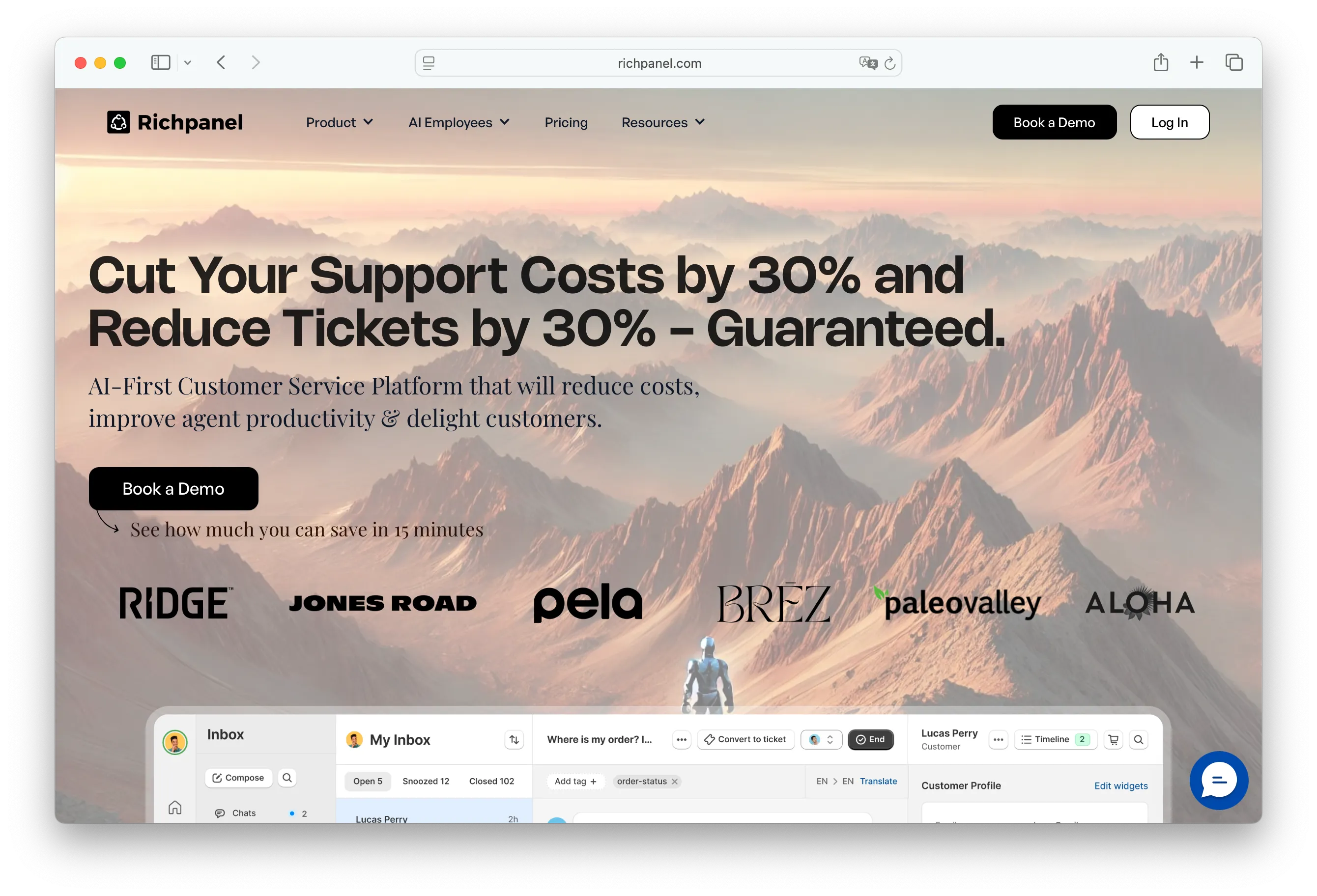 Richpanel helpdesk with autonomous AI agent for e-commerce